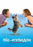  Пес-купидон смотреть онлайн (2012) 