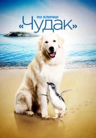  По кличке «Чудак» смотреть онлайн (2015) 