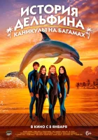  История дельфина: Каникулы на Багамах смотреть онлайн (2025) 